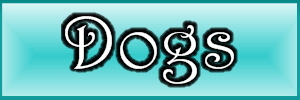 Dogs Dogs
