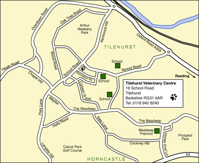 Map Map