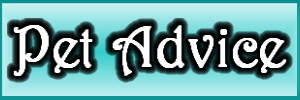 Pet Advise Pet Advise