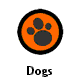 Dogs